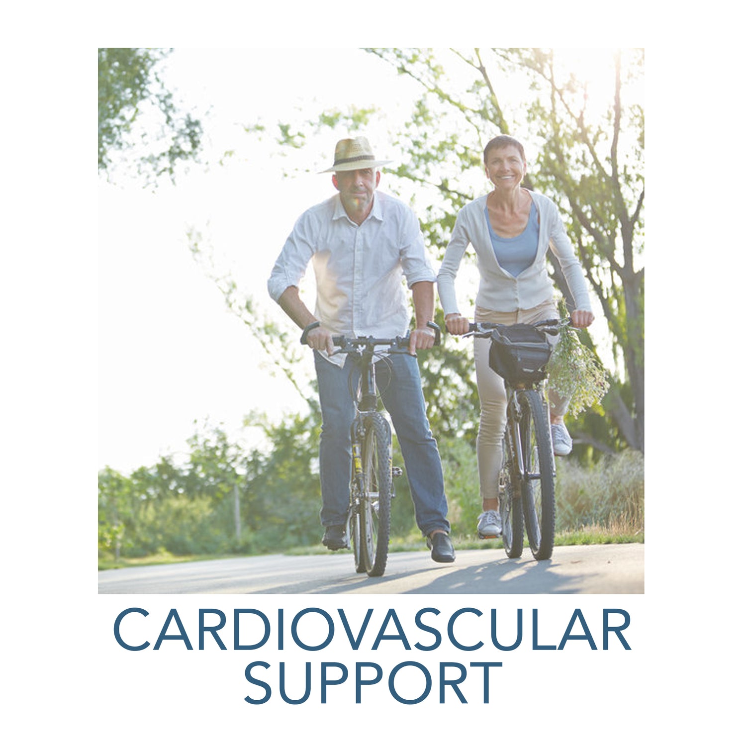 Cardiovascular Support