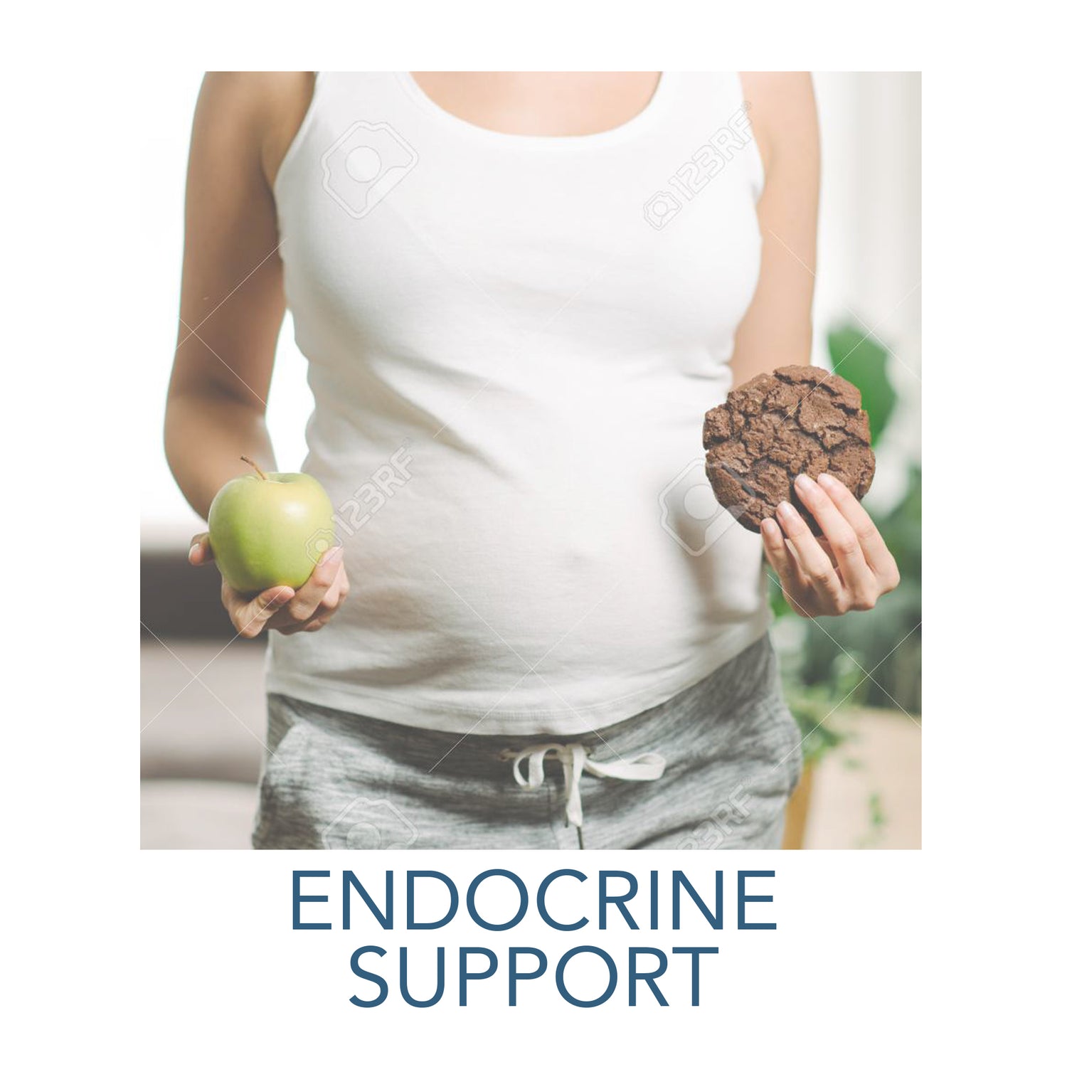 Endocrine Support