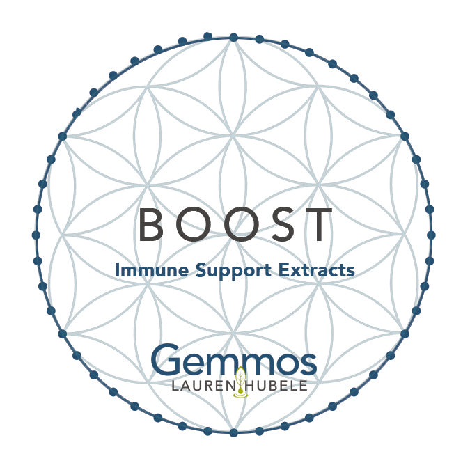 Boost - Everyday Immune Support